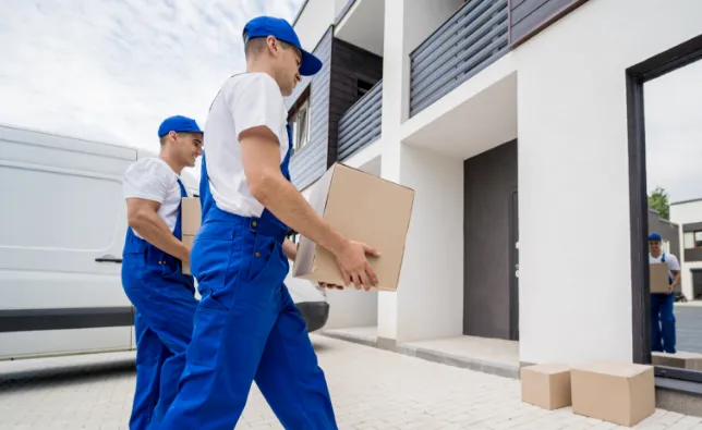 Movers carrying boxes