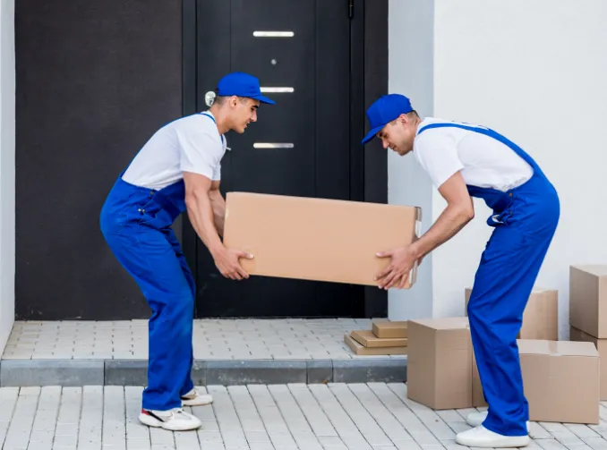 Movers carrying a box